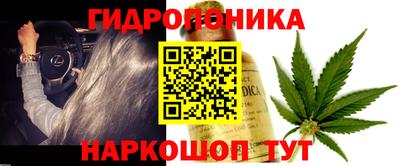 индика Славгород