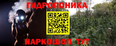 скорость Сланцы
